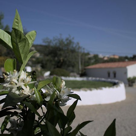 Cosy Farmhouse Quinta Da Eira 140 Years Old Loulé Esterno foto